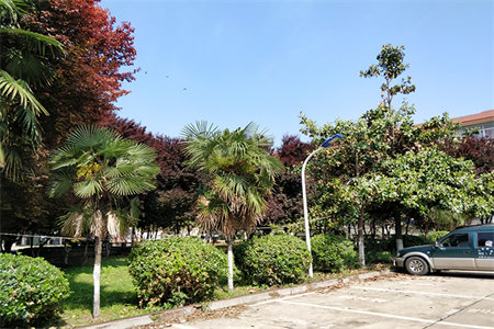 兰圣园小区3室1厅1卫115㎡